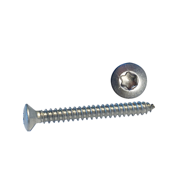 1055217-9_XL Skrue linsehoved 4.2 x 32 A4 Torx kærv ISO 14587 20stk - Billede 1